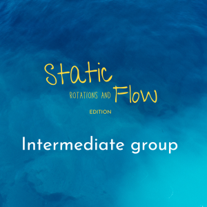 Reservation Pole Camp Canarias 2025 INTERMEDIATE Static rotations and flow edition